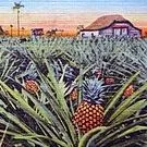thumbnail for publication: Survey of Cuban Agricultural Workers, 1956-57